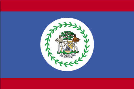 Бенин флаг