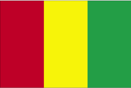 Гвинея флаг